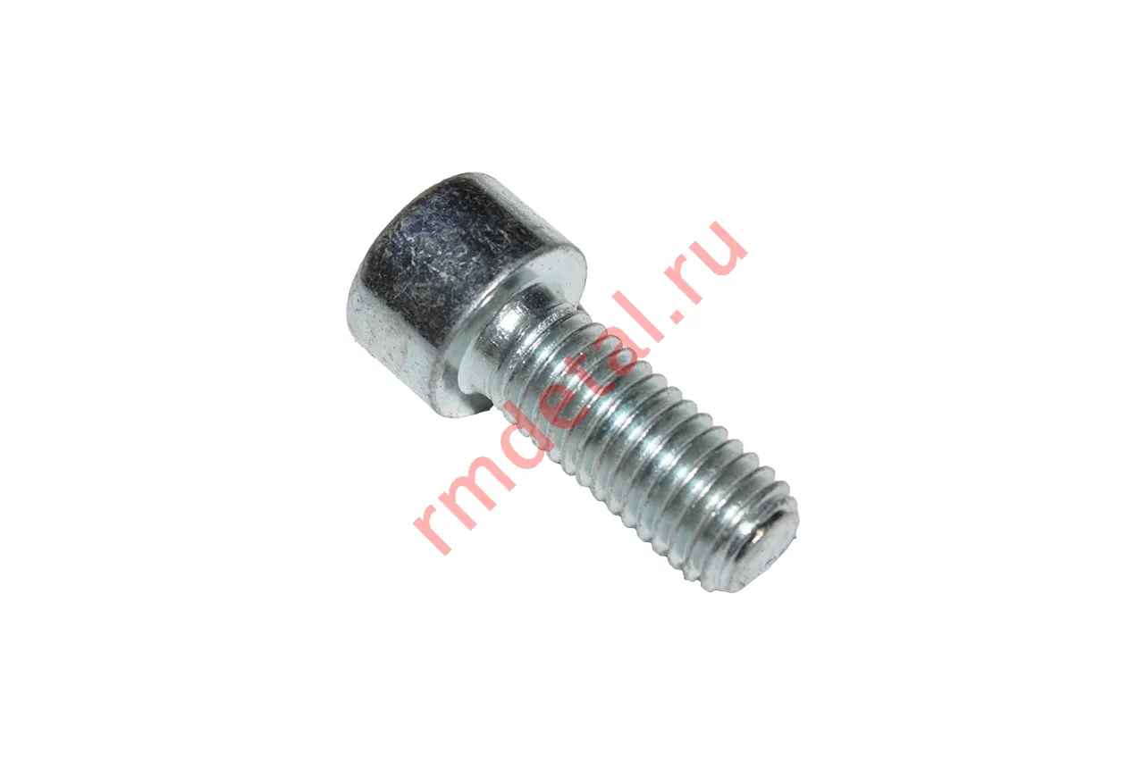 Винт M10x25 DIN 912-88P