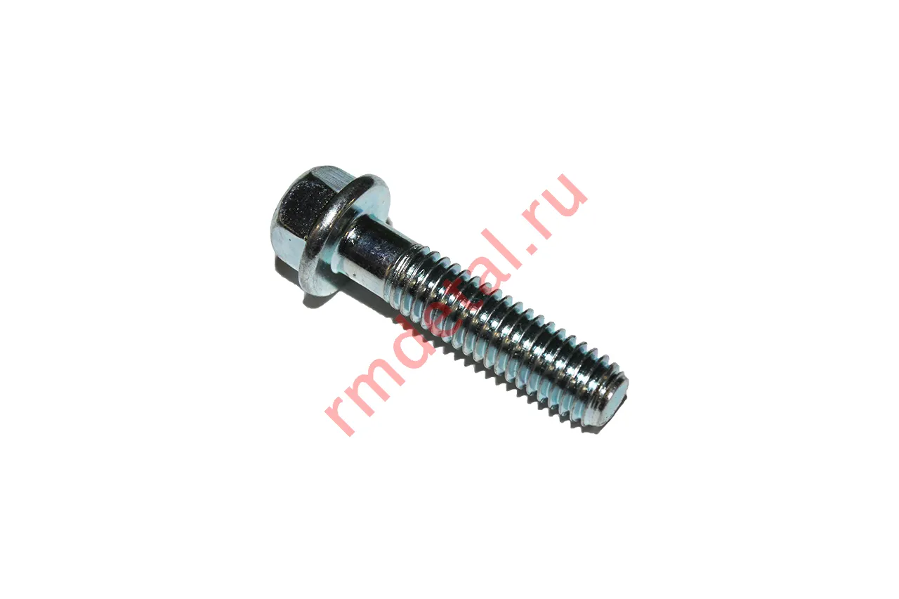 Болт М6х25 7006025LBX